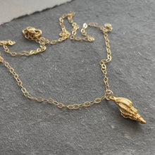 Load image into Gallery viewer, Conch Shell Resort Necklace
