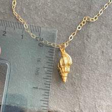 Load image into Gallery viewer, Conch Shell Resort Necklace