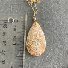 Load image into Gallery viewer, Fossil Necklace, OOAK