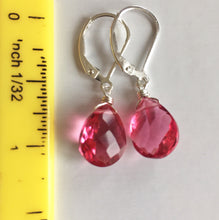 Load image into Gallery viewer, Petunia Pink Dangles
