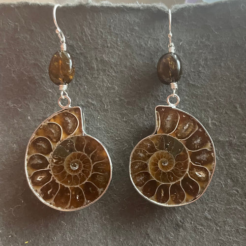 Ammonite Fossil and Tourmaline Earrings