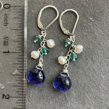 Load image into Gallery viewer, The Cool Blues Dangle Earrings