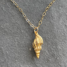 Load image into Gallery viewer, Conch Shell Resort Necklace