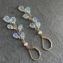 Load image into Gallery viewer, Opal Cascade Earrings, 14k gold filled leverback