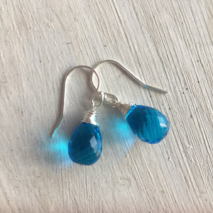 Bright Blue Plump Teardrop Dangle Earrings