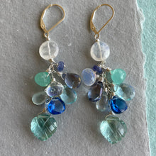 Load image into Gallery viewer, Leaf in the Ocean Cluster Earrings